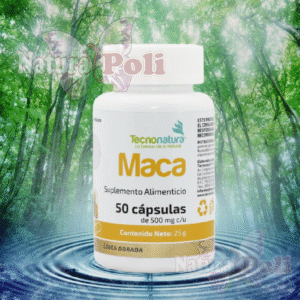 MACA